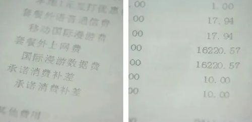 妈呀 上海老人出国旅游,发了条朋友圈,流量费竟高达1万6千元